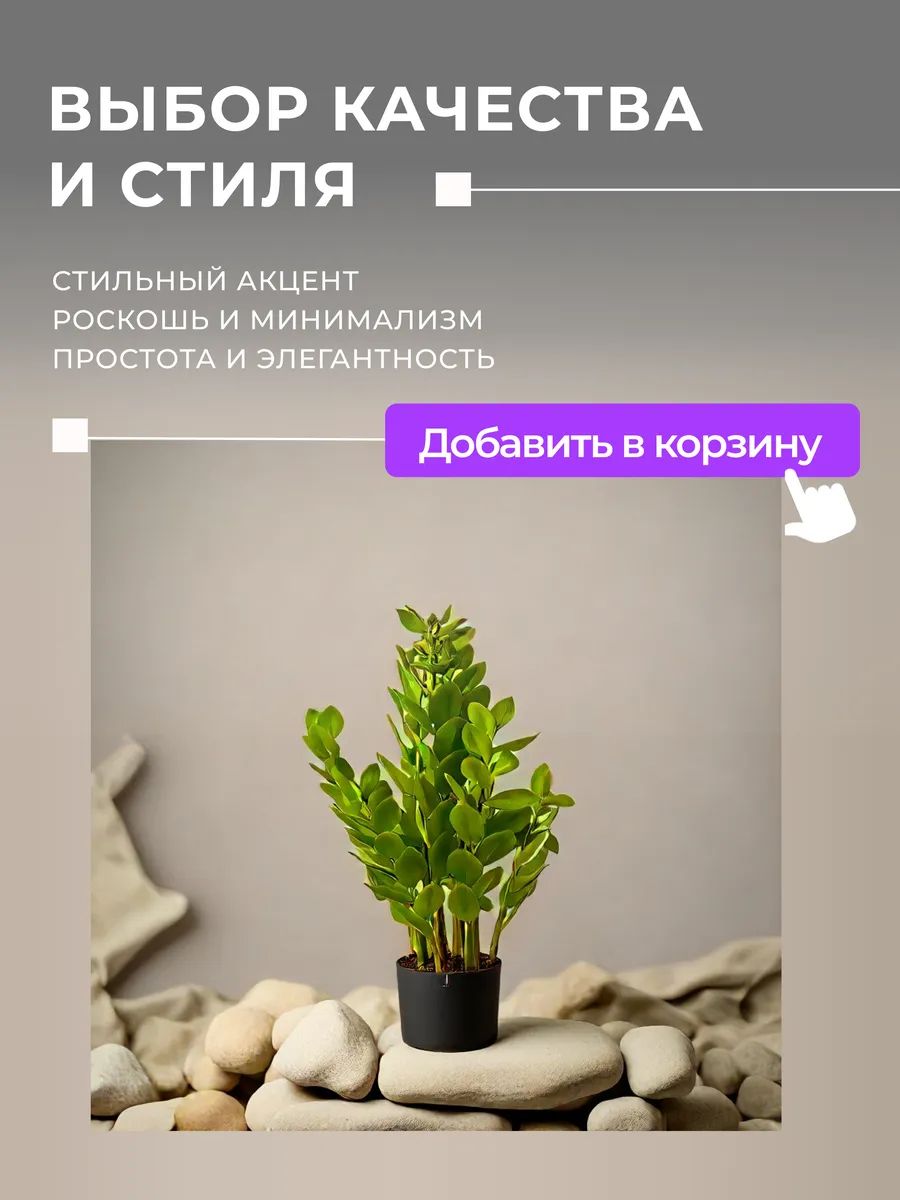 Замиакулькас 90cm Зелёный DS2021-090 Китай