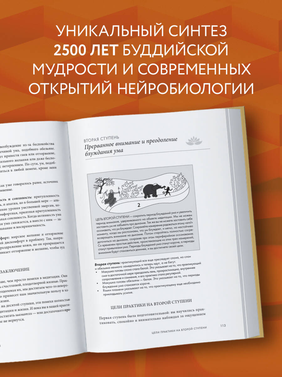 Свет ума. Подробный путеводитель по медитации | Svet uma. Podrobnyi putevoditel' po meditatsii - Ozon image 1