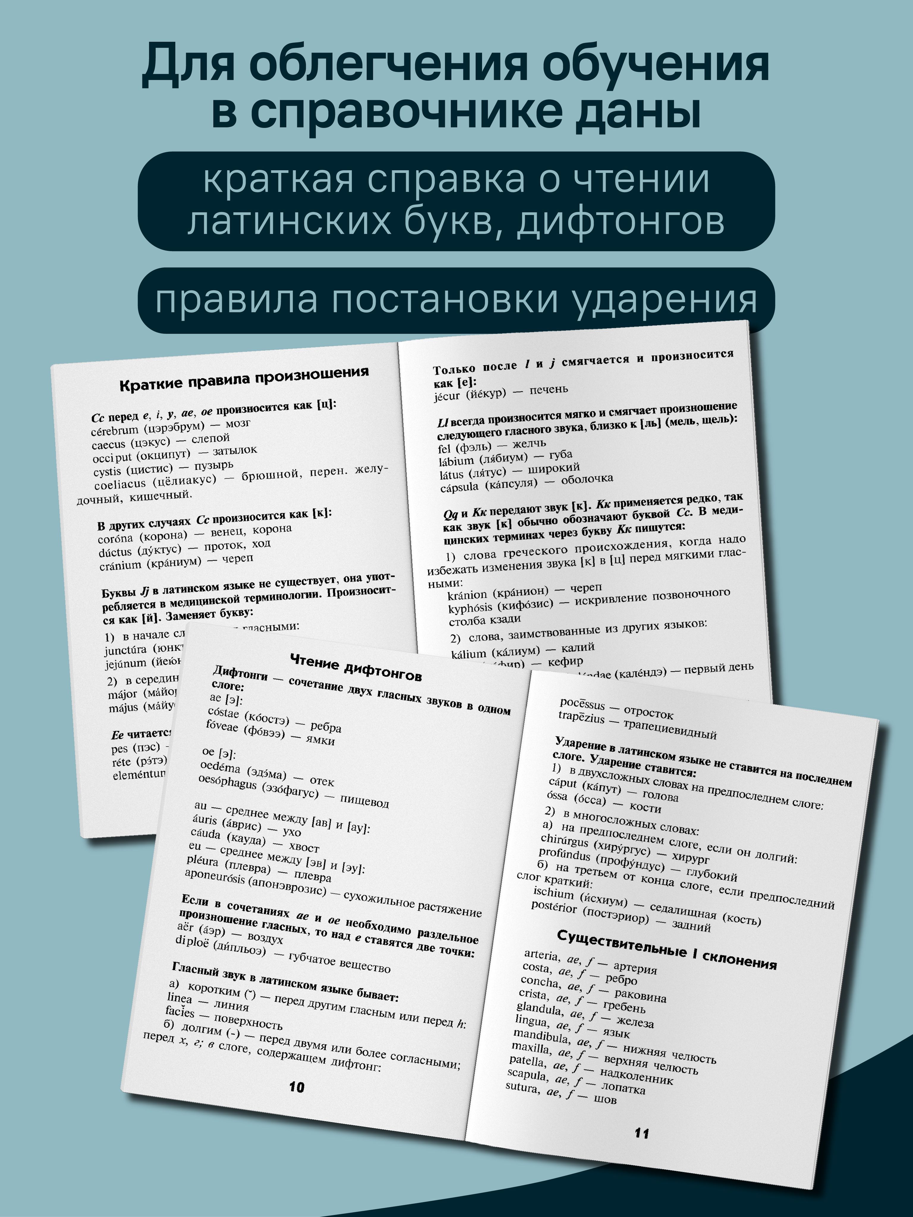 Словарь латинско-русский, русско-латинский для медицинских колледжей | Latin–Russian, Russian–Latin Dictionary for Medical Colleges - Ozon image 4