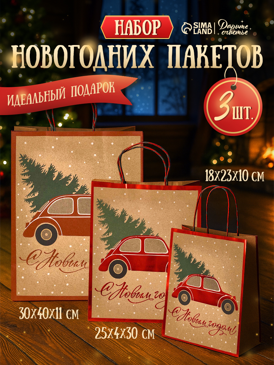 Пакеты подарочные новогодние, набор 3 шт