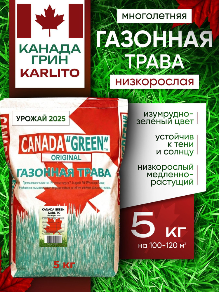 Газонная трава семена Канада Грин Низкорослая 5 кг / Canada Green Karlito 5 кг / мятлик, овсяница #1