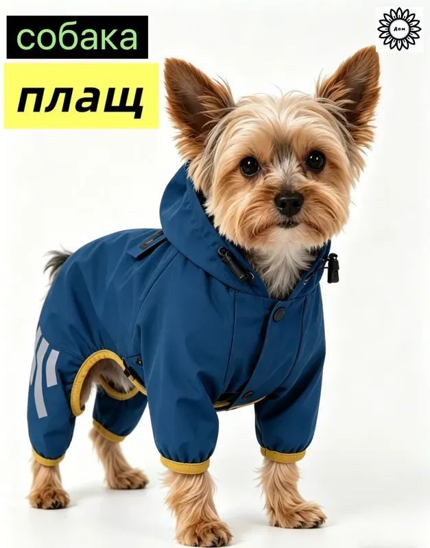 Одежда для собак дождевик #1