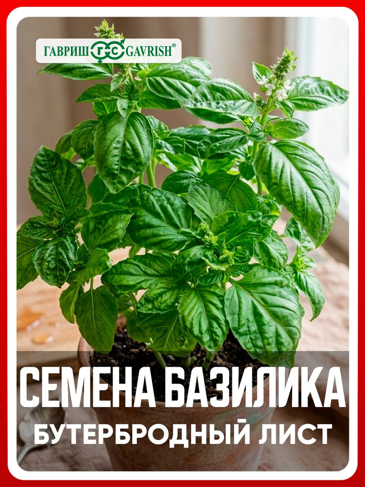 Семена Базилик овощной "Бутербродный лист" 0,1 гр, травы и пряности, для дома, дачи и огорода, на балкон, #1