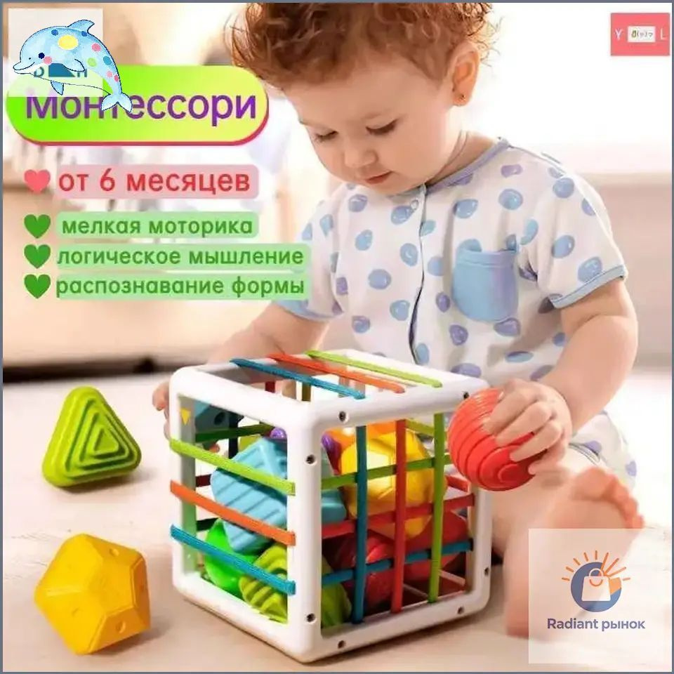 Сортер #1