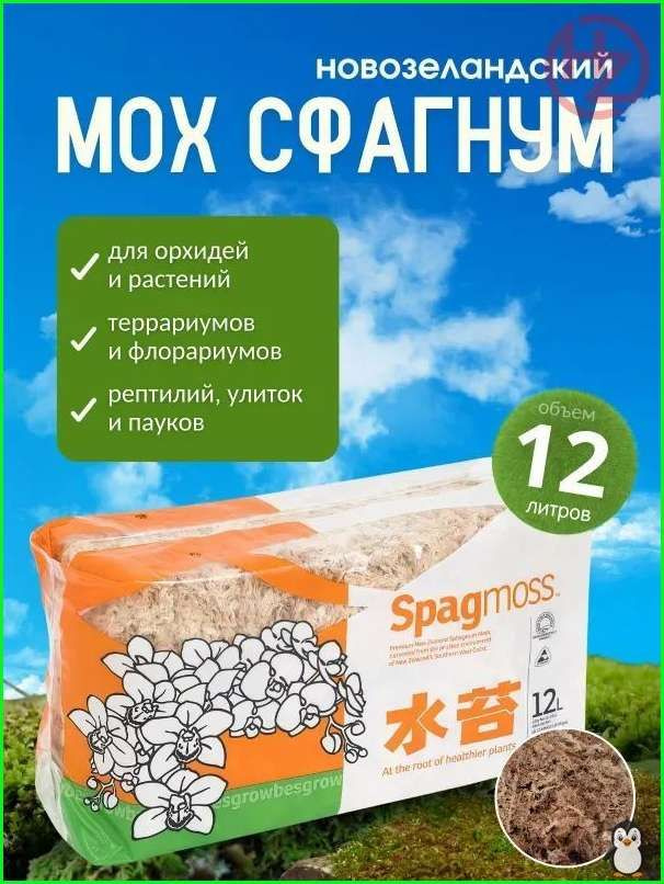 Мох #1