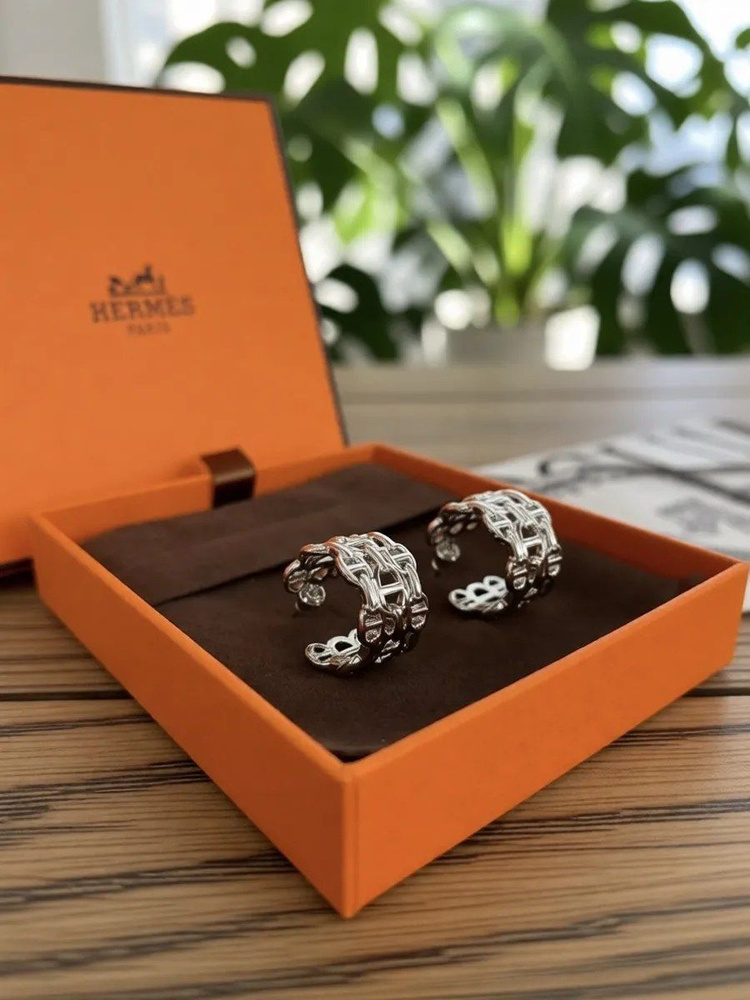 Серьги Hermes #1