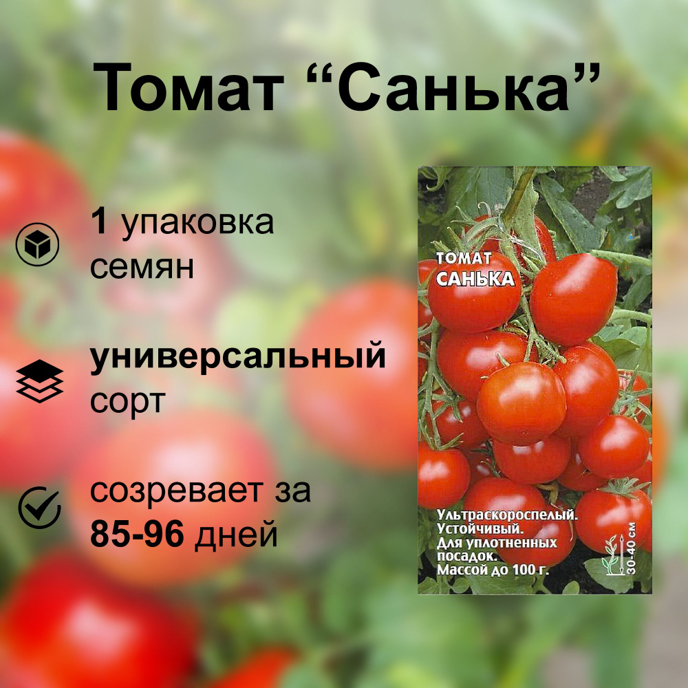 Томат Санька 0,1г, ультраскороспелый, высокоурожайный, для теплиц и открытого грунта, для употребления #1