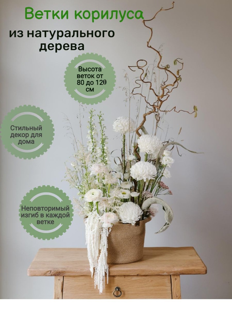 Сухоцветы для декора, корилус (орешник), набор декоративных веток для дома интерьера 2 шт, от 80 см  #1