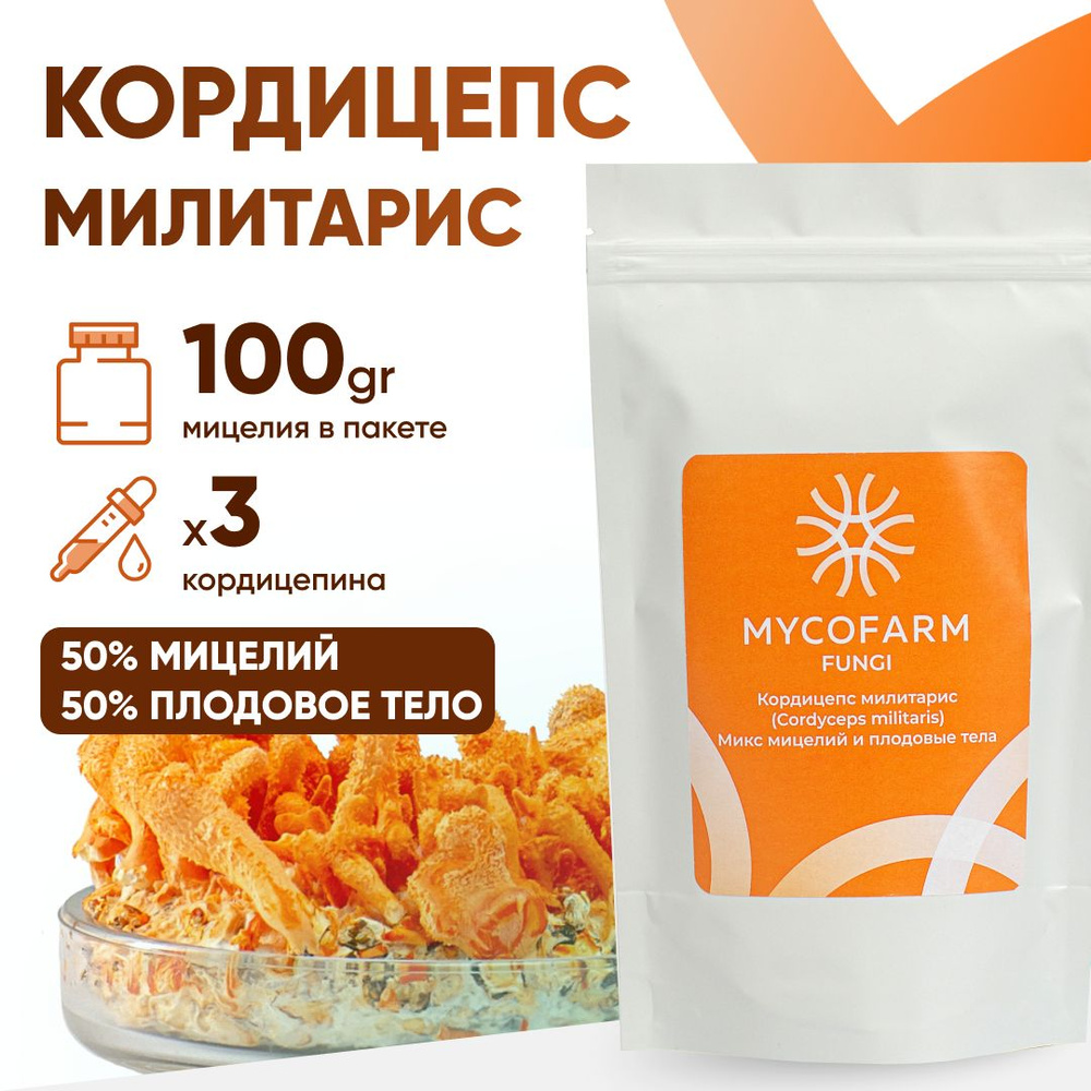 Кордицепс милитарис (Cordyceps militaris), микс мицелий и плодовые тела,  100 грамм - купить с доставкой по выгодным ценам в интернет-магазине OZON  (641563881)