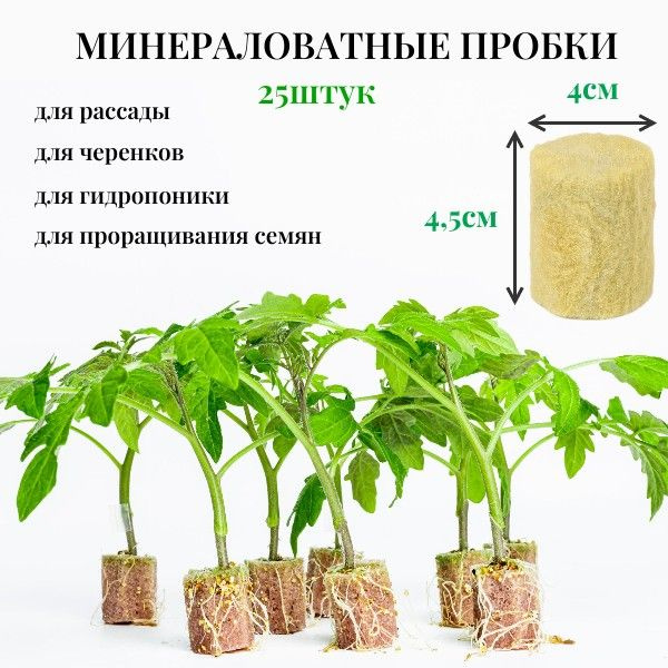 ЭКОВЕР ГРУНТ Проращиватель семян,25шт #1