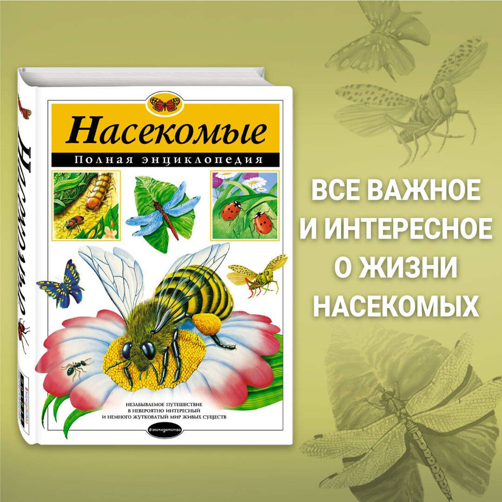 Насекомые. Полная энциклопедия | Грин Тамара - купить с доставкой по  выгодным ценам в интернет-магазине OZON (249419381)