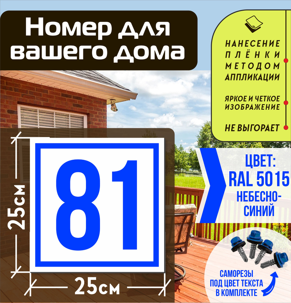 Адресная табличка на дом с номером 81 RAL 5015 синяя #1