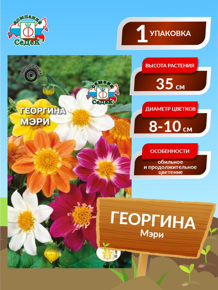 Семена Георгина Мэри Однолетние 0,15 гр. #1