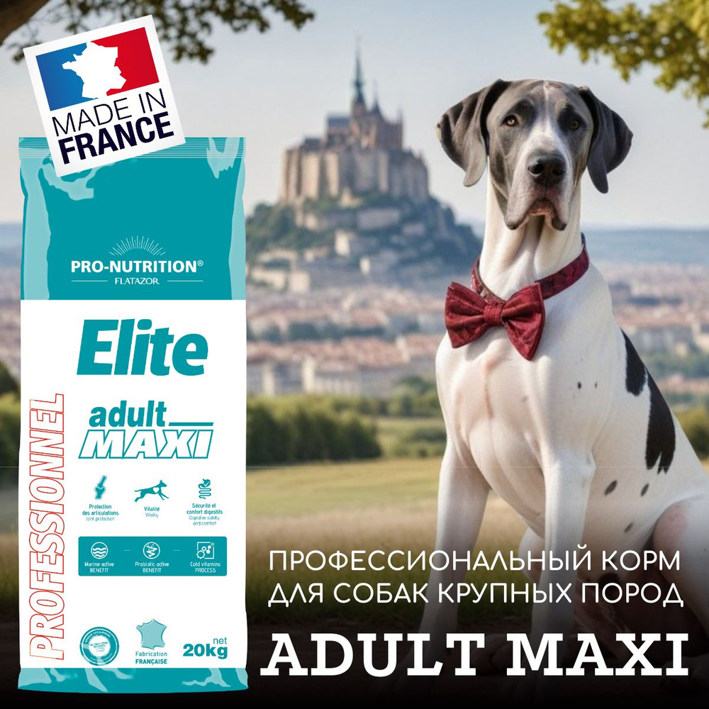 Корм сухой для взрослых собак крупных пород Elite Adult Maxi ...