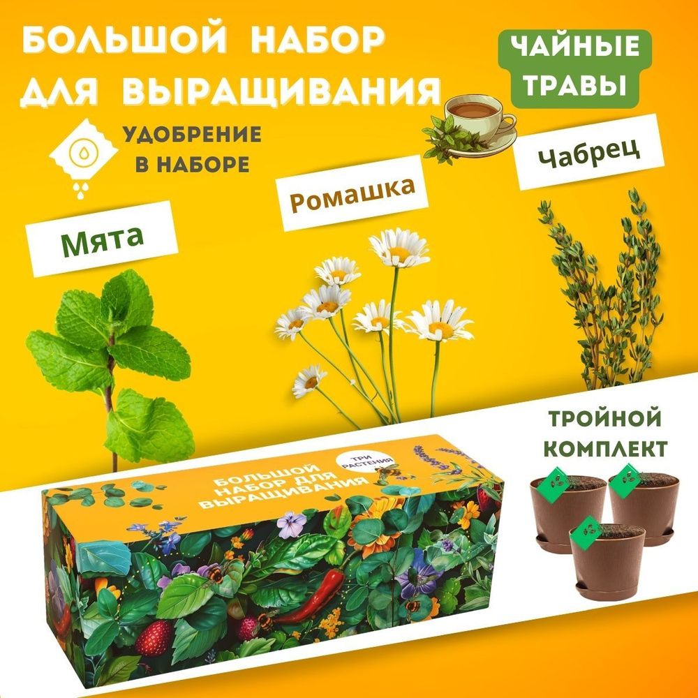 Набор для выращивания Plant Republic, Мята, Ромашка, Многолетник купить по  выгодной цене в интернет-магазине OZON (667031268)