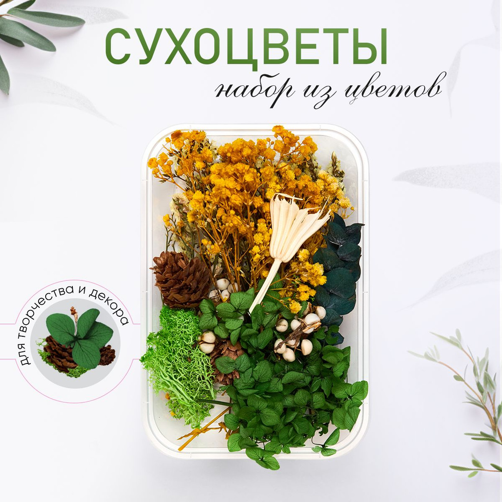 Сухоцветы, 40 гр #1