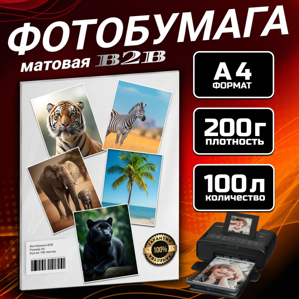 Фотобумага B2B матовая 200 гр A4 100 листов #1