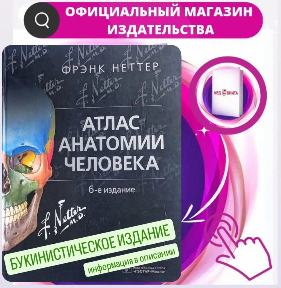 Атлас анатомии человека. 6-е издание БУКИНИСТИКА / Фрэнк Неттер