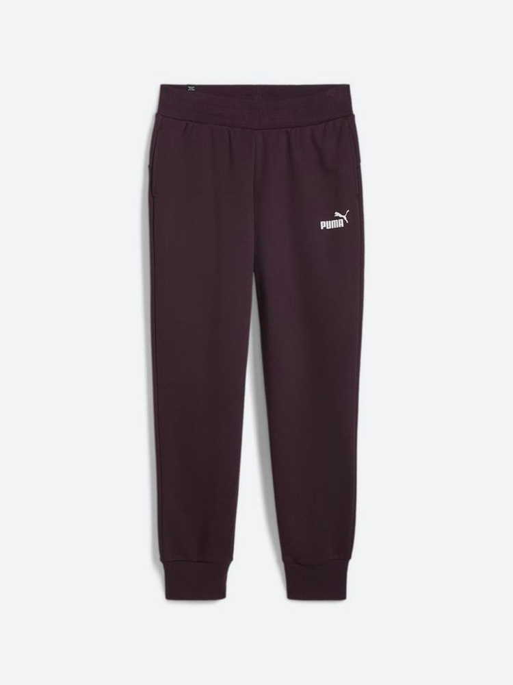 Брюки спортивные PUMA Ess Sweatpants Fl Cl (S) #1