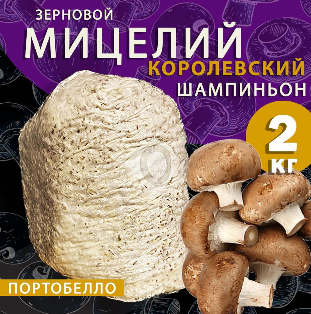 Мицелий гриба Шампиньон Крупноплодный, 10 г