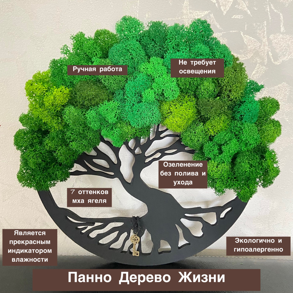 Панно Дерево Жизни с стабилизированным мхом, d25 см, подарок, ритуал  #1