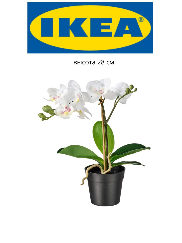 IKEA FEJKA орхидея, высота 28 см #1