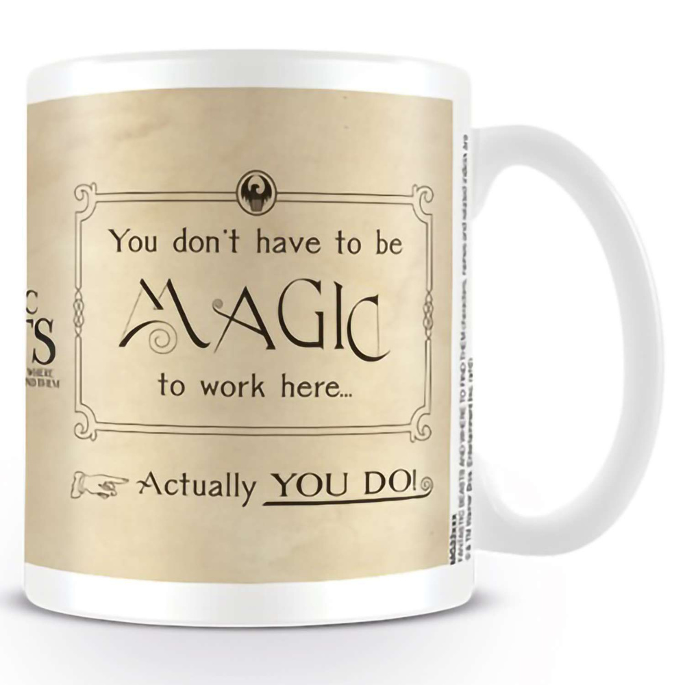 Кружка Fantastic Beasts (Magic) Mug 300 ml MG24257 #1