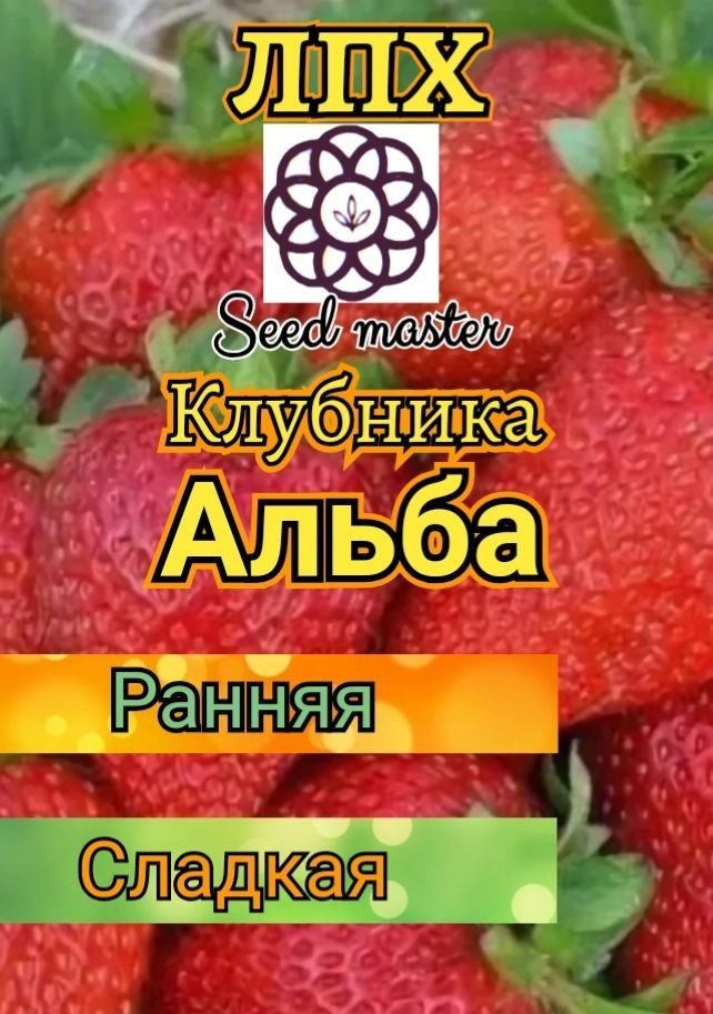 Семена ,50шт #1