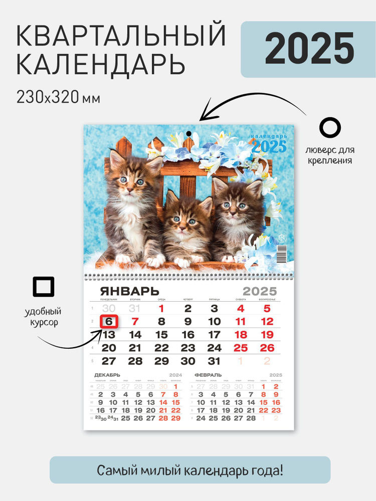 Квартальный календарь "Котята" на 2025 год #1