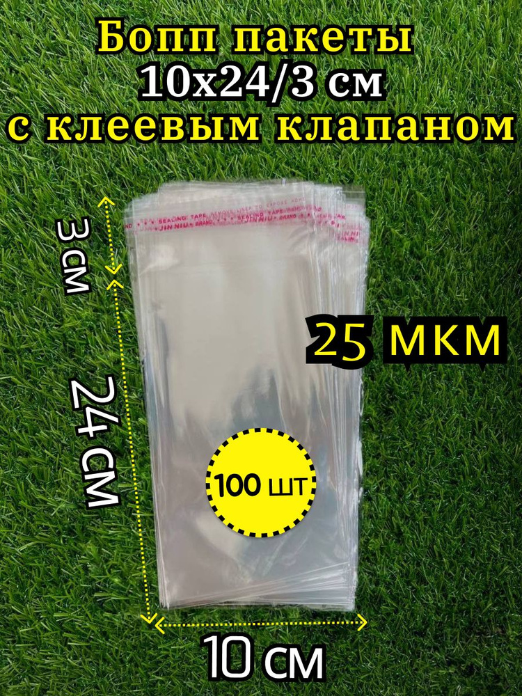 Бопп пакеты с клеевым клапаном 10х24 100 шт #1