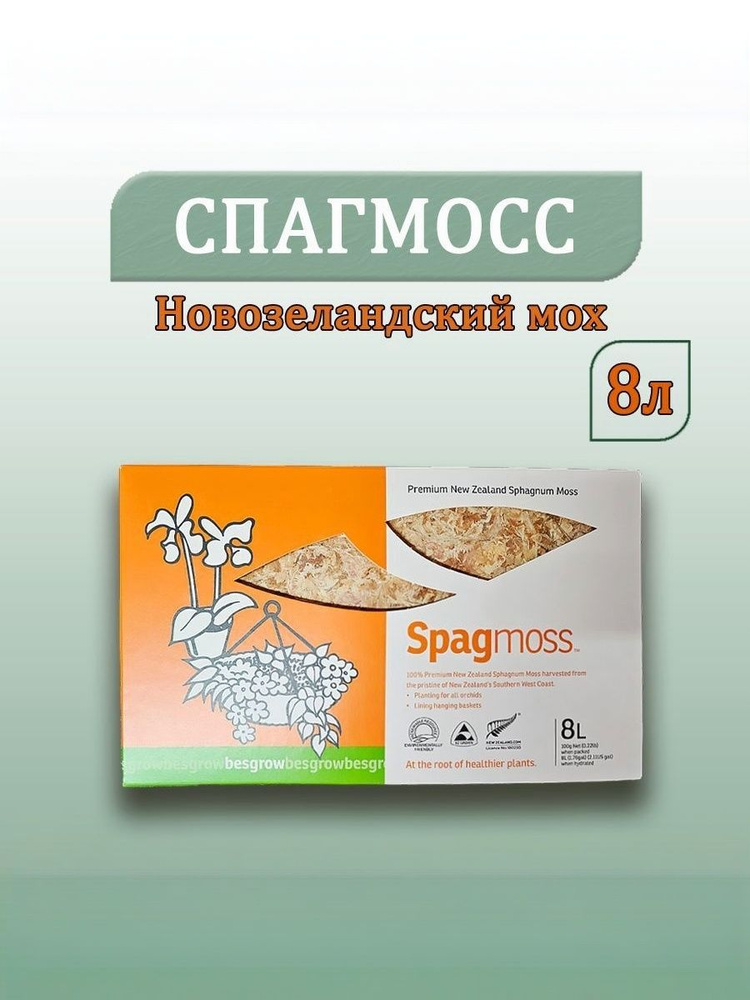 Мох #1