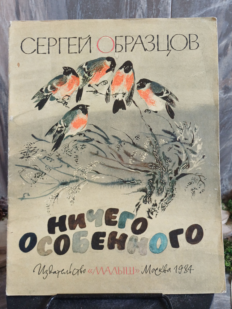Ничего особенного (Арт.528) | Образцов Сергей Владимирович #1