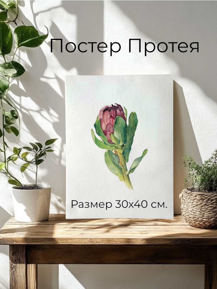 Постер на стену для интерьера / Постер ботанический с цветами ПРОТЕЯ 30х40 см  #1
