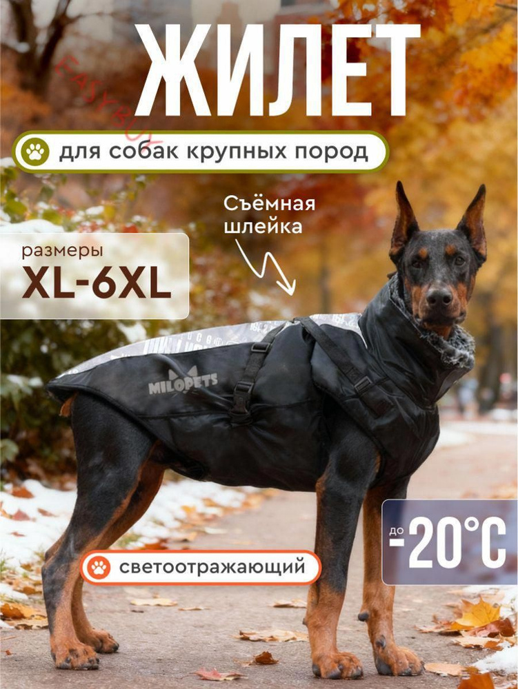 Одежда для животных #1