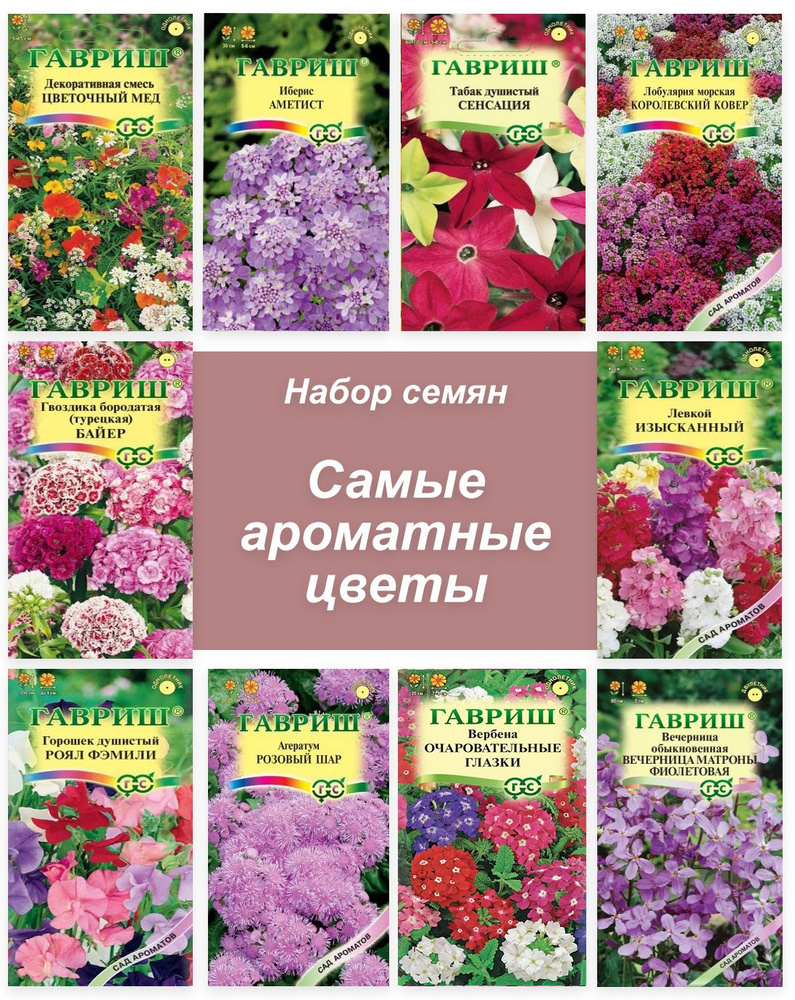 Семена ароматных цветов для сада #1