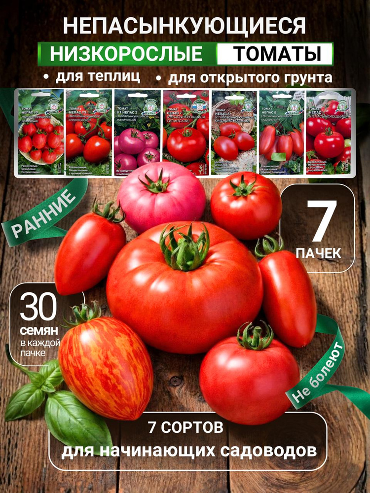 НЕПАС Семена томатов низкорослые без пасынкования #1