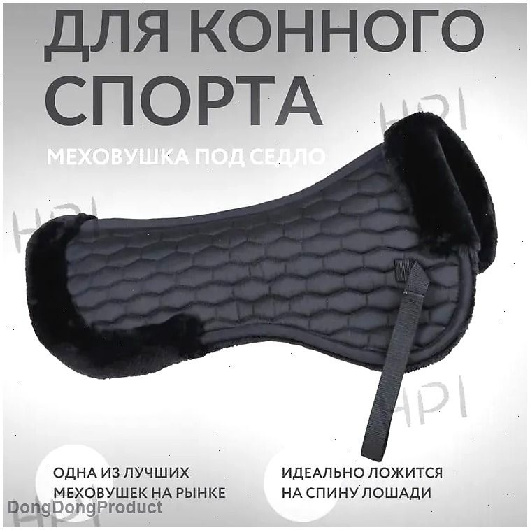 Вальтрап #1