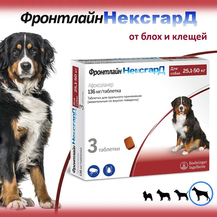 Фронтлайн нексгард для собак применение. Фронтлайн нексгард для собак применение