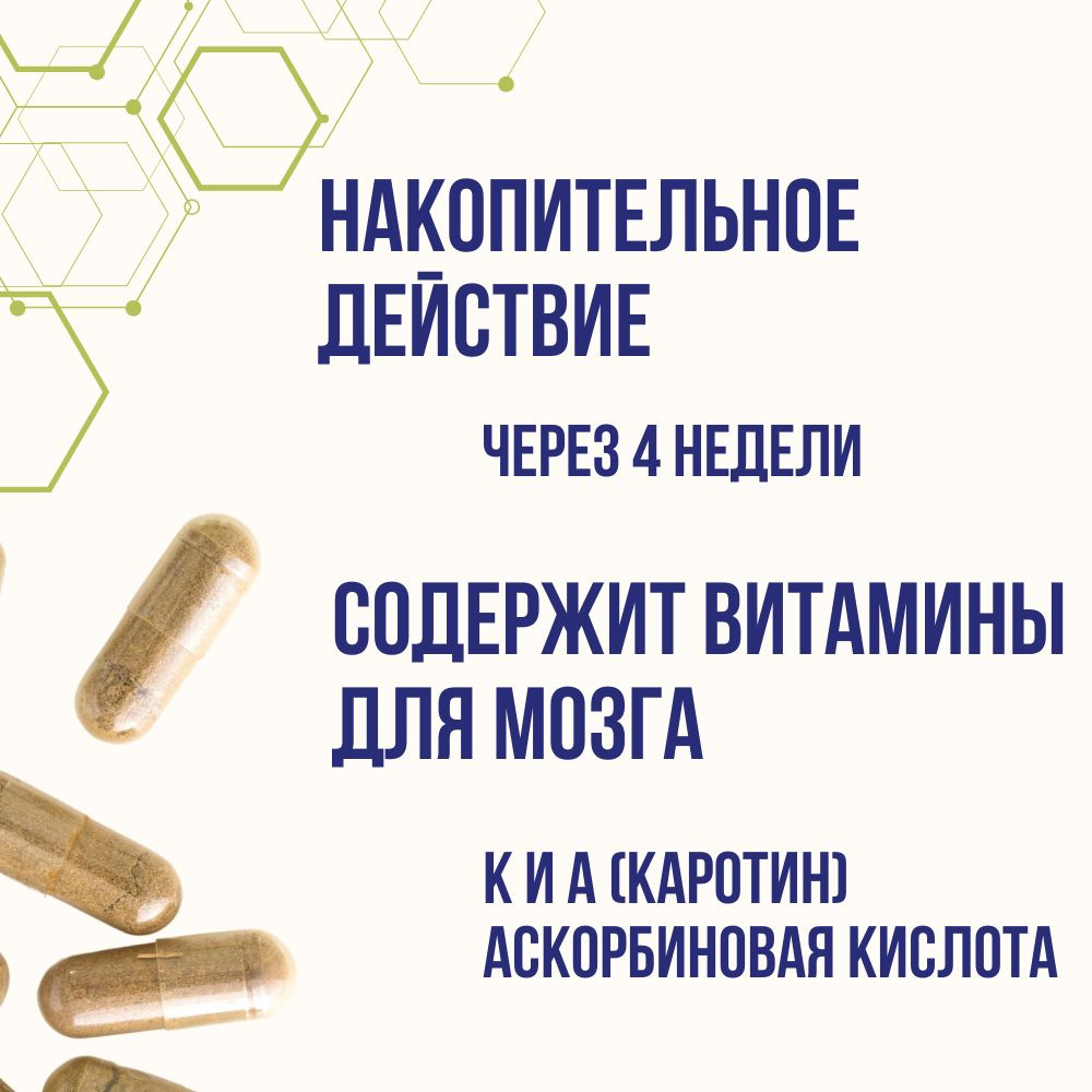 Таблетки для памяти - ноотропный комплекс для сосудов головного мозга ...