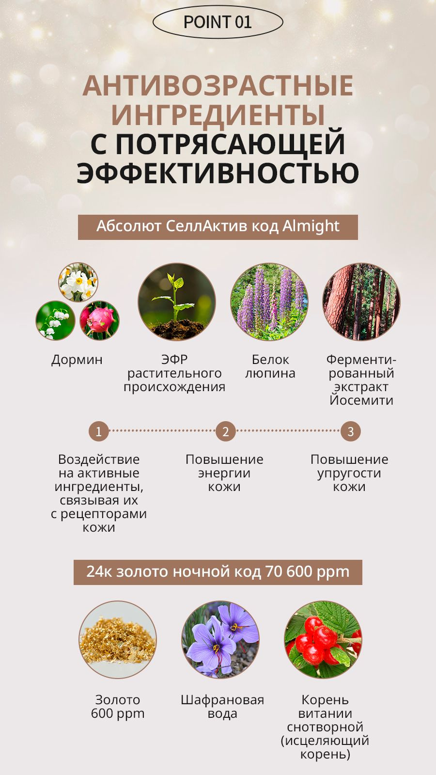 Состав и ингредиенты