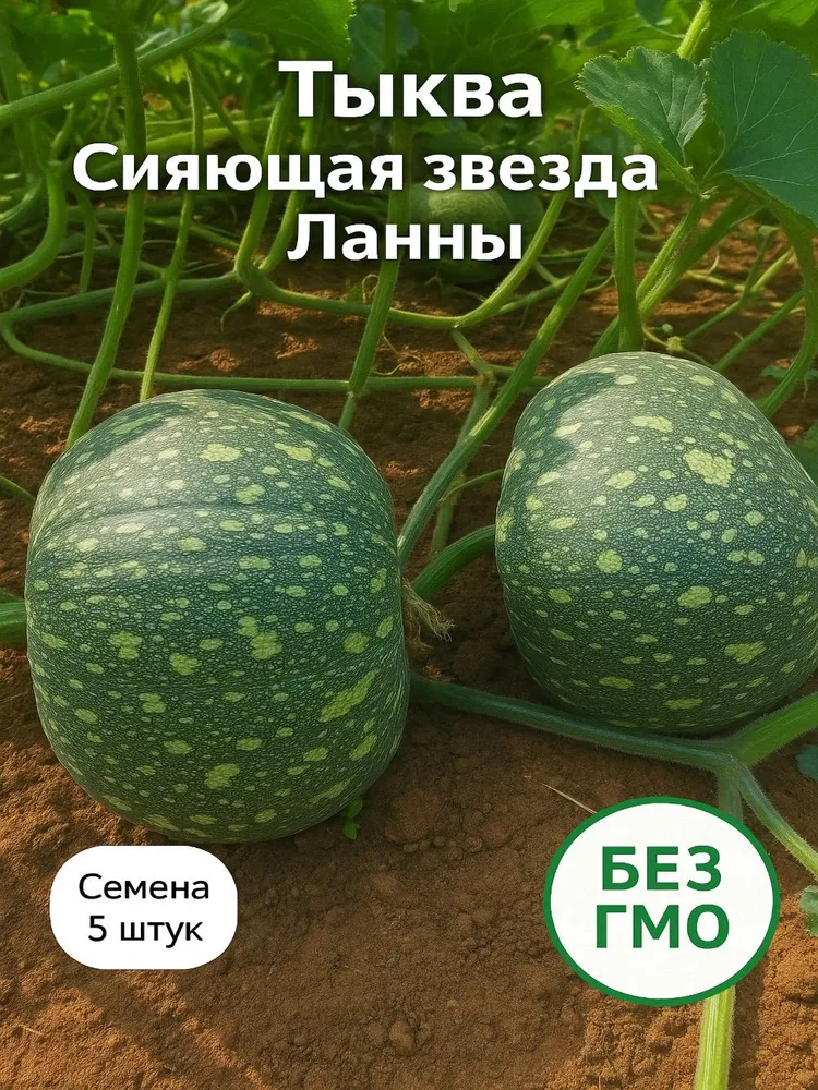 Тыква Сияющая звезда Ланны семена 5 штук #1