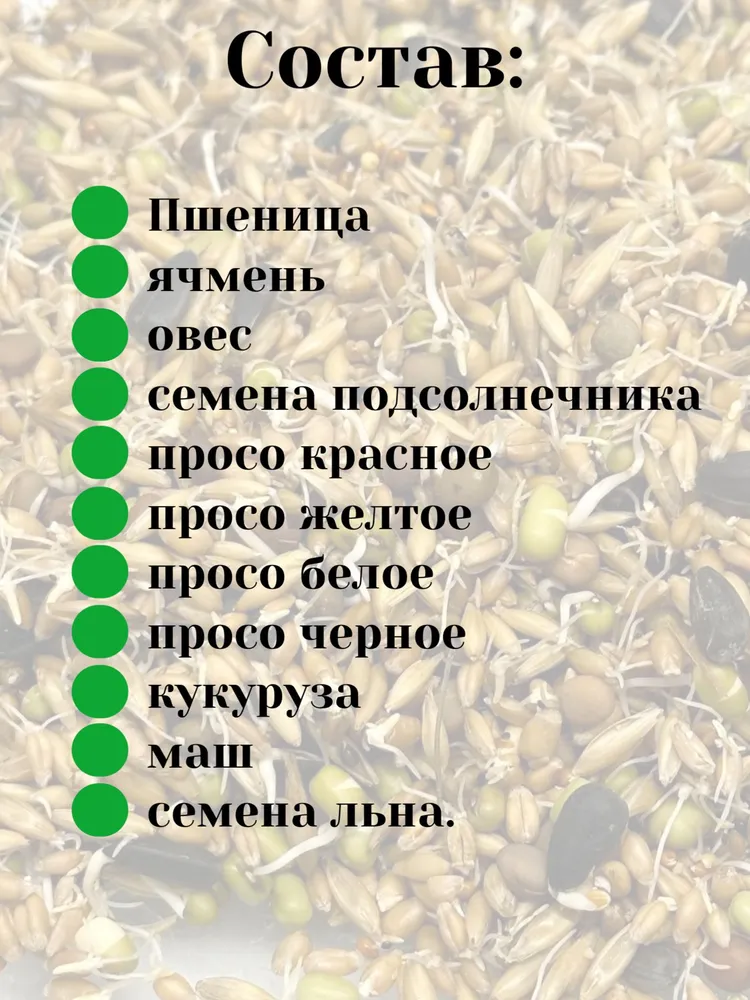 Зерновая смесь для попугаев / смесь для проращивания / корм для птиц 500 г, 500 г, фото 2
