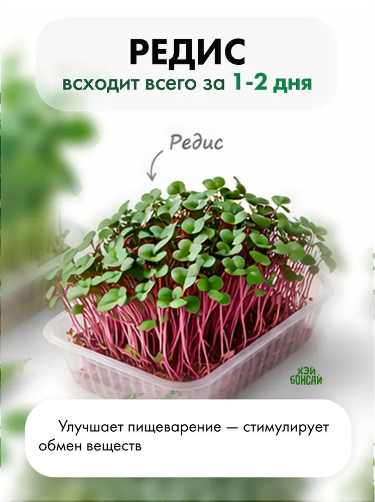 Набор для выращивания микрозелени, вариант, фото 6