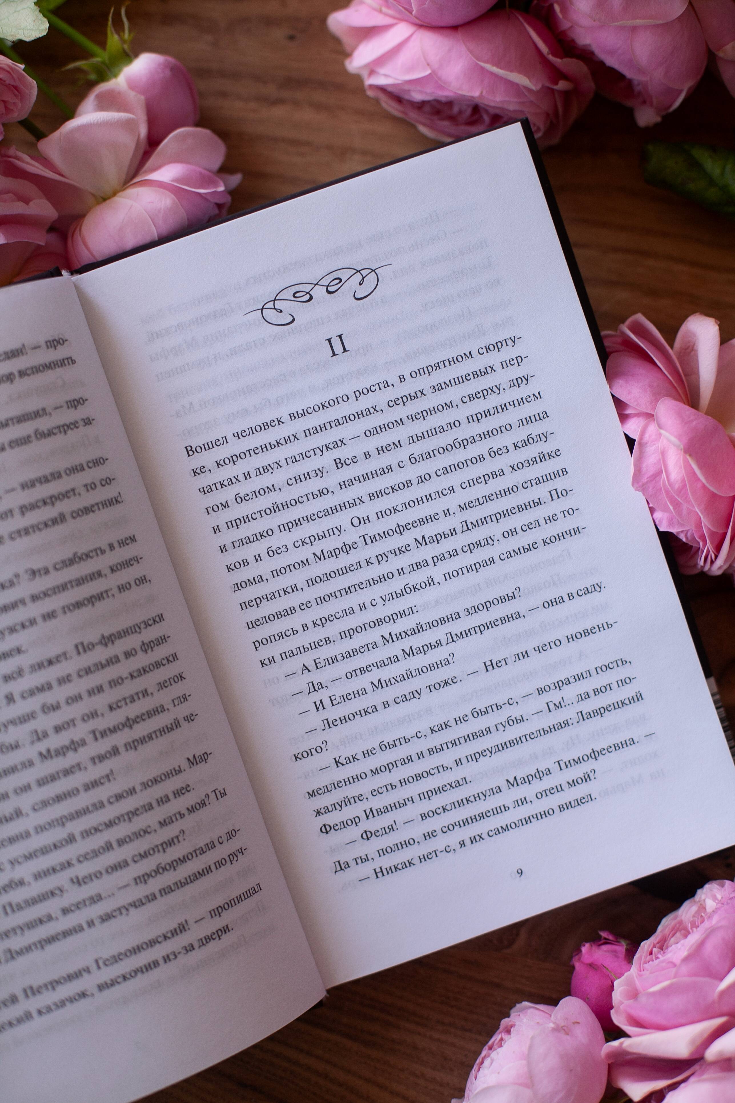 Дворянское гнездо. Вечные истории | A Nest of Gentlefolk. Eternal Stories - Ozon image 6