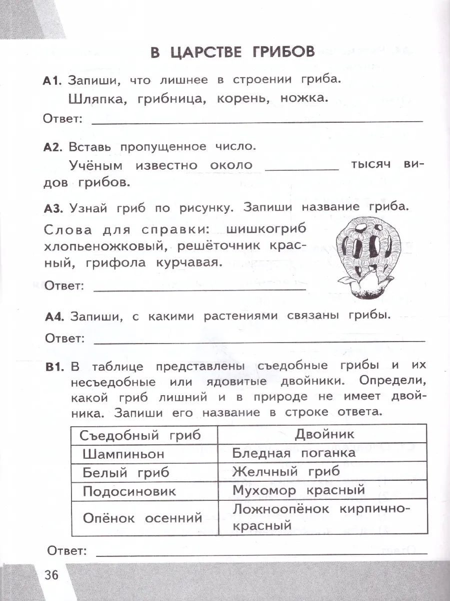 КИМ ВПР Окружающий мир 3 класс. Новый ФГОС | World Around Us VPR Assessment Materials, Grade 3 - Ozon image 3