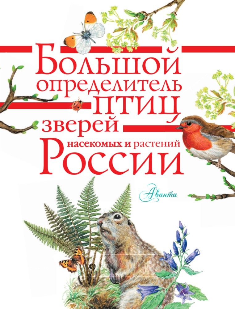 Большой определитель птиц, зверей, насекомых и растений России | Large Guide to Birds, Animals, Insects, and Plants of Russia - Ozon image 2