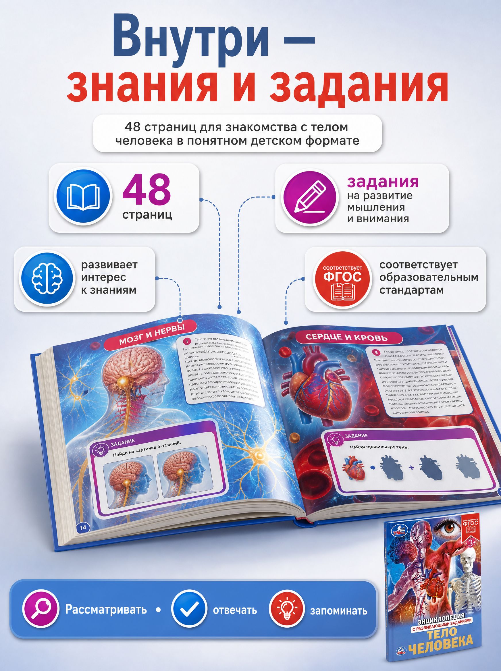 Тело человека. Энциклопедия | Cardboard Book for Toddlers - Ozon image 2