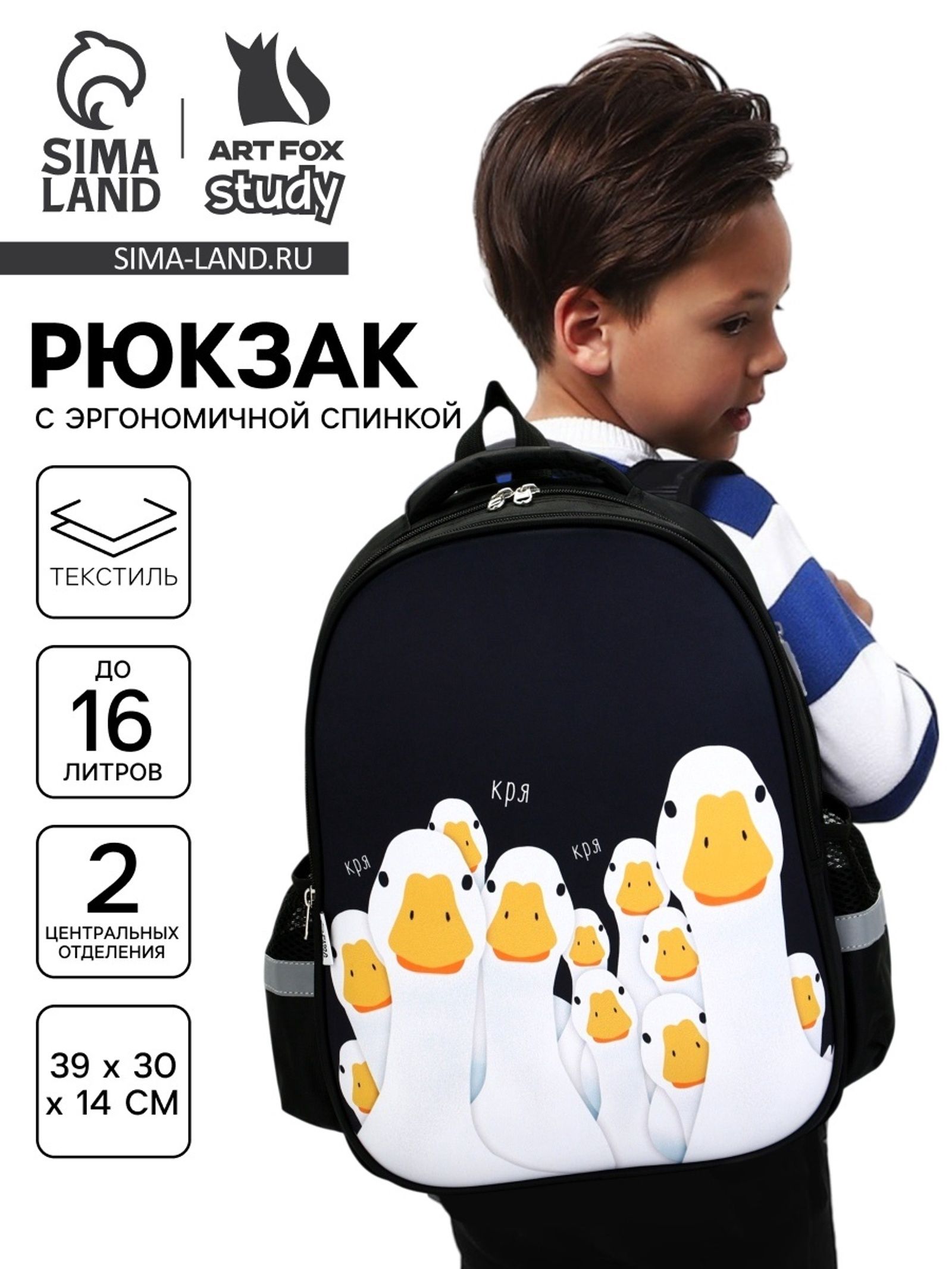 Рюкзак школьный, каркасный, 39 30 14 см