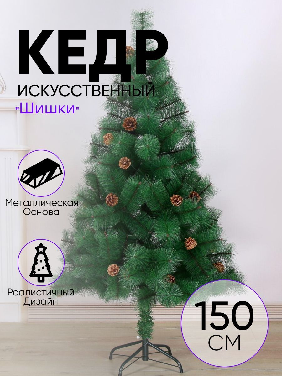 Кедр зеленый шишки 150 см