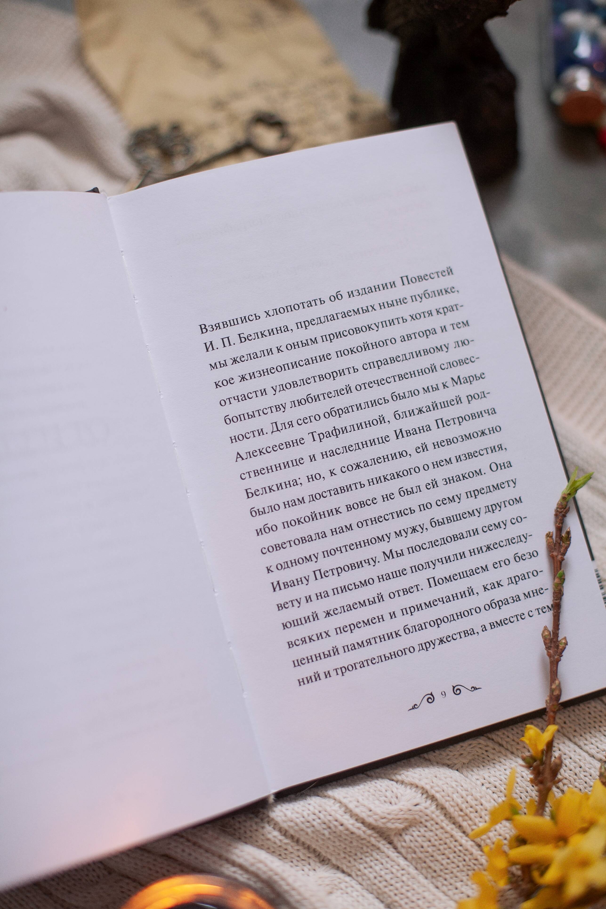 Повести Белкина. Вечные истории. Young Adult | The Tales of Belkin. Eternal Stories - Ozon image 7
